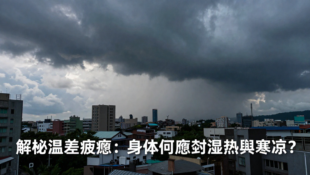 秋季溫差大：上班族如何告別濕黏僵硬？